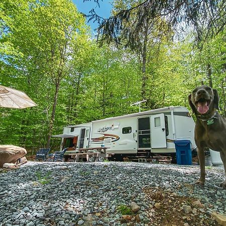 Hotel Rv Adventure Roscoe Pet Friendly Zewnętrze zdjęcie