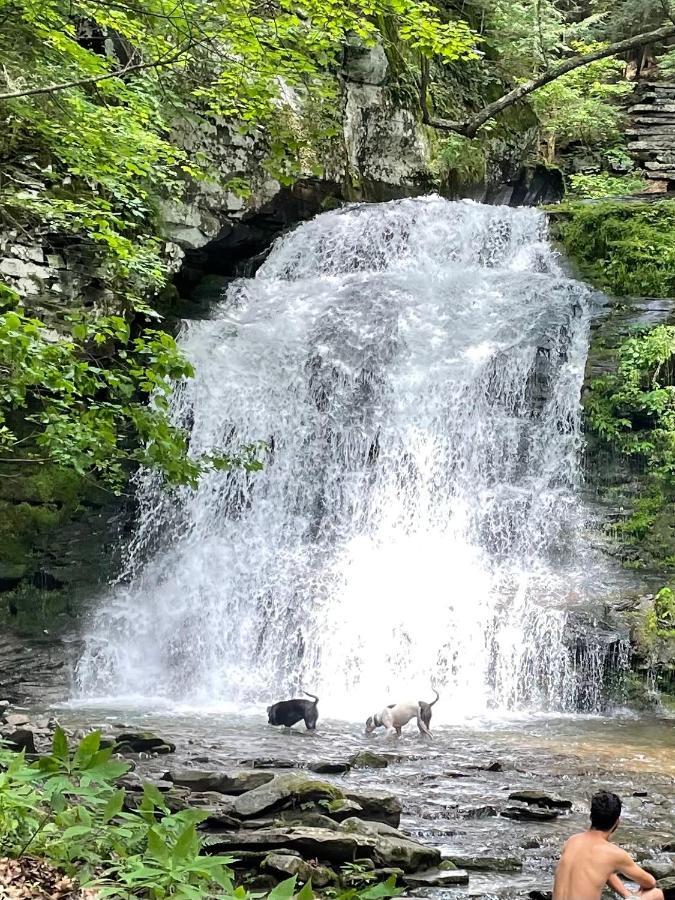 Hotel Rv Adventure Roscoe Pet Friendly Zewnętrze zdjęcie